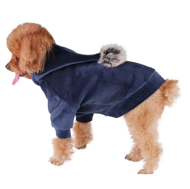 Pet Clothing for Dogs and Cat - Costumes