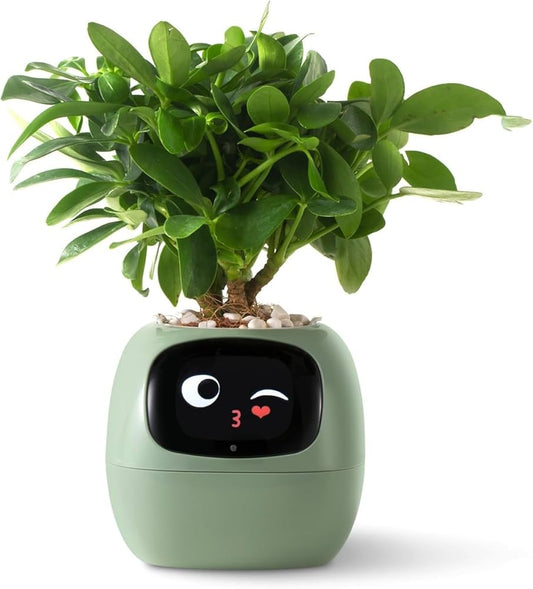 green pot
