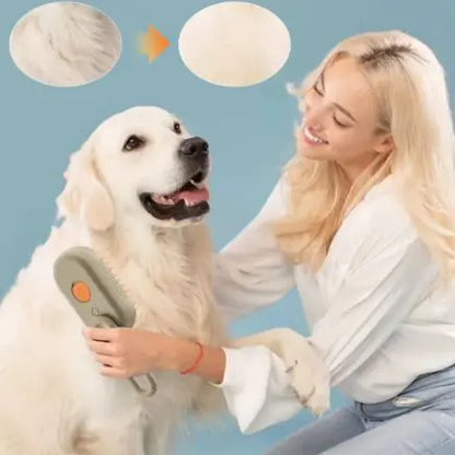 3-in-1 Steam Massage Pet Brush